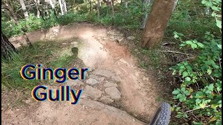 Cornubia MTB Ginger Gully [upl. by Zildjian]