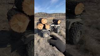 Mechanic Tips  Fondle More Tree Carcass ￼shorts dieselrepair atv [upl. by Daj798]