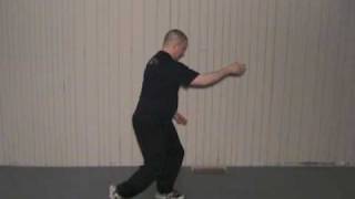 24 Form Tai Chi Lesson 7 Play Guitar or Play the Lute [upl. by Aiouqahs832]