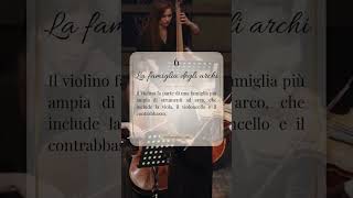 7 curiosità sul violino  Parte 2 [upl. by Eintihw423]