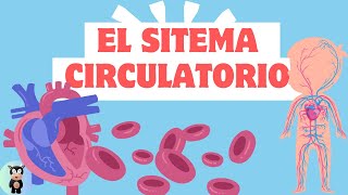 El sistema circulatorio para niños [upl. by Noied]