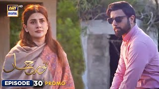 New Noor Jahan Episode 30  Promo  ARY Digital [upl. by Yffat343]