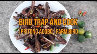 Tikling sa Bukid  Bird trap and cook [upl. by Ilac]