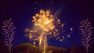 2022 Victoria Day Fireworks at Birchmount Park Toronto [upl. by Ayama]