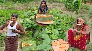 खेत की ताजी ककड़ि का फुट ऐसा Usha village food मेरी जेठानी जी ने खाकर खूब तारीफ कियाll freshkakadi [upl. by Icaj]