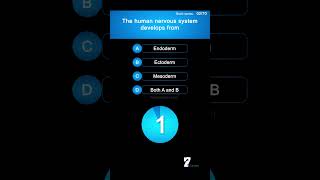 The human nervous system develops from biology brain [upl. by Ennaihs]