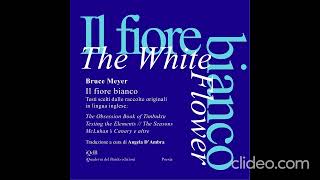 Il fiore bianco di Bruce Meyer [upl. by Notla]