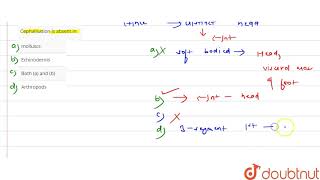 Cephalisation is absent in [upl. by Kelcie]