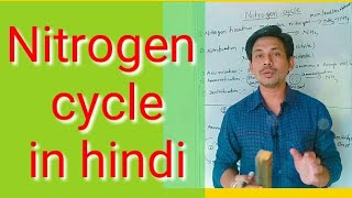 Nitrogen cycle nitrogen cycle in hindi [upl. by Hampton]