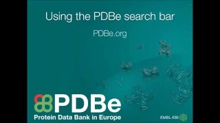 PDBe mini tutorial Using the PDBe search bar [upl. by Harobed]