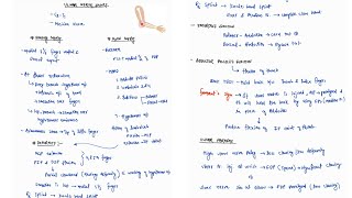 ULNAR NERVE INJURY NOTES ONE PAGE NOTES  ORTHOPAEDICS  4TH PROFF  MBBS [upl. by Ikkim759]