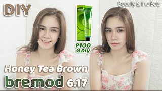 DIY TIPID HAIR COLOR  TIPS amp TUTORIAL  NO BLEACH  BREMOD HONEY TEA BROWN 617  100 Pesos Only [upl. by Danyelle]