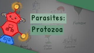 Parasites Protozoa classification structure life cycle [upl. by Neda]