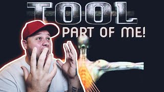 Tool  Part Of Me Salival Reaction tool [upl. by Notsob]