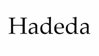 How to Pronounce Hadeda [upl. by Vorster]