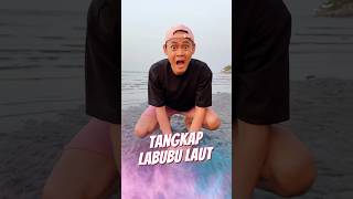 Tangkap Labubu Laut 🏝️ [upl. by Anade]