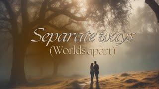 Separate Ways Worlds Apart  Cover [upl. by Nnylrac]