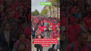 Énorme manifestation à Paris avec le RPPRAC les dom tom manifestent contre laviechère [upl. by Eihcir]