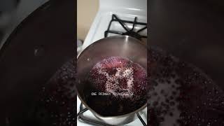 Why Elderberry is the Ultimate Health Booster 💪🏽⚡️ recipe [upl. by Jeuz351]