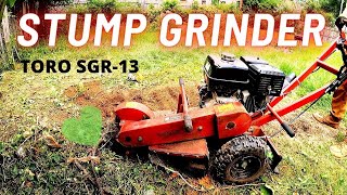 GRINDING TREE STUMPS  HOME DEPORT RENTAL  TORO SGR13 [upl. by Tiffie]