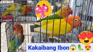 Vlog427 Half Sider Ni Boss Mark😱🦜😱 4Pcs Dito Malabon Pet Market [upl. by Efren]