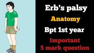 Erbs palsy anatomy in Tamil erbs paralysis clinical anatomy of brachial plexus in Tamil bpt [upl. by Inigo]