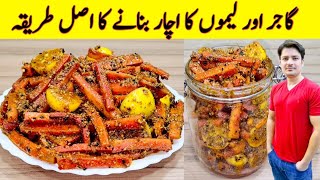 Gajar Pickle Recipe By ijaz Ansari  Achar Banane Ka Tarika  Carrot Pickle Recipe [upl. by Princess]