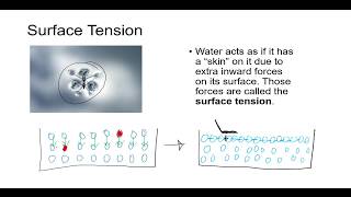 Chemistry Explained Viscosity Surface Tension Adhesion Cohesion Capillary Action [upl. by Yessak]