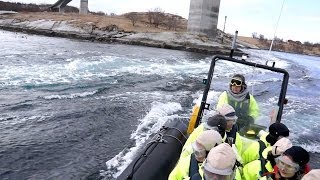 Saltstraumen  Gezeitenstrom in Bodø Nordnorwegen [upl. by Krystyna162]