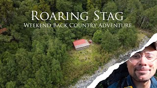 TARARUA TRAMPING  The gang heads to Roaring Stag Hut [upl. by Annahsed]