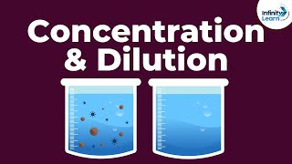 Dilute or Concentrated AcidsBases  Dont Memorise [upl. by Imehon]