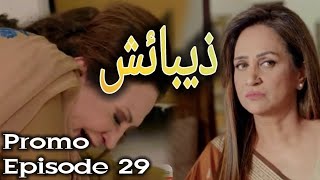 Zebaish episode 29 promo  teaser  review  29ذیبائش [upl. by Uzzi]