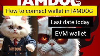 how to connect EVM wallet in IAMDOG last date  iamdog walletconnect cryptocurrency cryptoiamdog [upl. by Center]