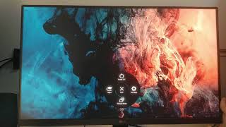 LG 24MR400B REVIEW  24quot inch IPS 100Hz FHD MONITOR [upl. by Ahsekahs814]