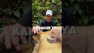 KANGEN AMA ANAK ANAK PART 1 youtubeshorts denysumargo [upl. by Eniffit]