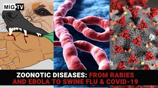 Zoonotic diseases From Rabies and Ebola to Swine Flu amp Covid19 [upl. by Lisabeth]