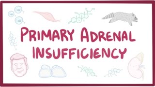 Primary adrenal insufficiency Addisons disease  pathology symptoms diagnosis treatment [upl. by Mcgraw675]