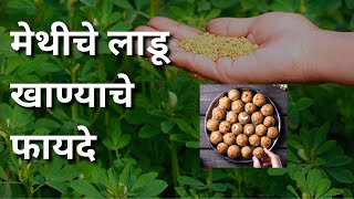 मेथी लाडू Benefits in Marathi  Benefits of Methi Ladoo [upl. by Anaiv379]