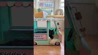 Figs Ice Cream Truck Bed Reveal Part 3 diy [upl. by Ahsieat53]