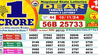 NAGALAND DEAR LOTTERY SAMBAD Morning 1 PM RESULT TODAY 10112024 [upl. by Lancaster641]