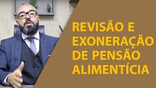 REVISÃO E EXONERAÇÃO DE PENSÃO ALIMENTÍCIA  É Seu por Direito [upl. by Filia160]