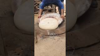 Unique way of making roti shortsvideo [upl. by Yssis]