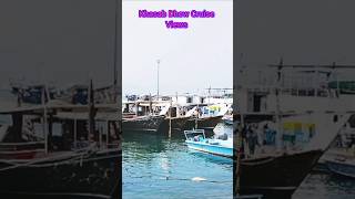 Khasab Dhow Cruise Views shorts shortsvideo [upl. by Tizes396]