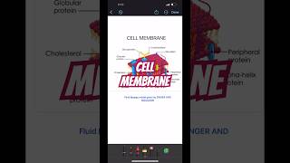 Structure of cell membrane education icse neetshorts [upl. by Findley]