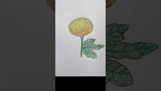 💐Bathukamma Flowers Festival Marigold drawing  dj folk song music bathukamma shorts colors [upl. by Cadel]