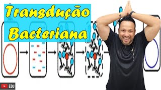 Transdução Bacteriana  Conceito e Processo  Reprodução Bacteriana  Microbiologia [upl. by Hume326]