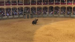 Bullfighting No Gore  Ronda  2918 [upl. by Ramey]