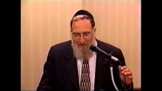 Rabbi Dovid Weinberger [upl. by Carree]