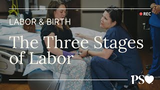 The 3 Stages of Labor A Guide for FirstTime Moms [upl. by Hallerson]