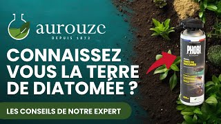 Terre de Diatomée  Le remède naturel contre les insectes rampants 🌿🚫🐜 [upl. by Charpentier]